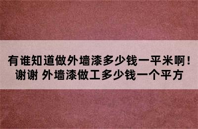 有谁知道做外墙漆多少钱一平米啊！谢谢 外墙漆做工多少钱一个平方